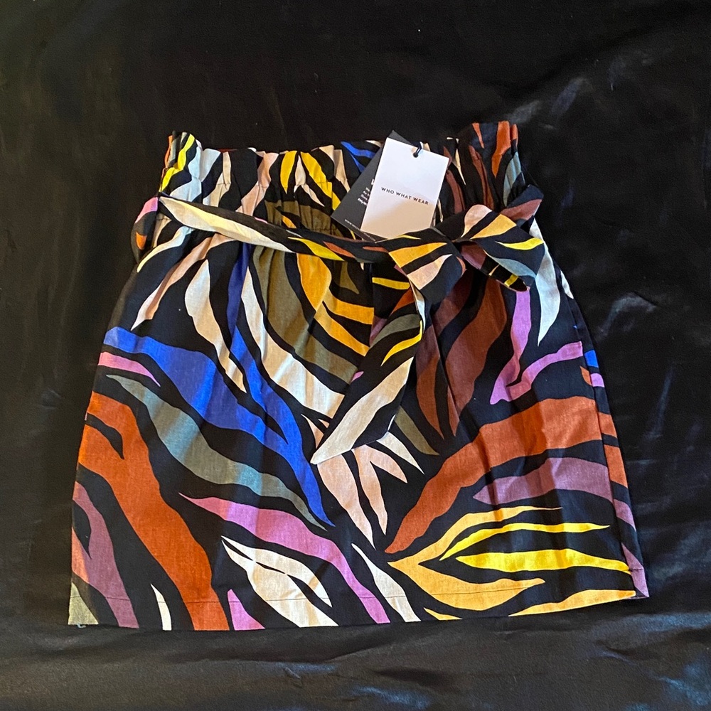 Zara Multicolor Zebra Print Mini Skirt